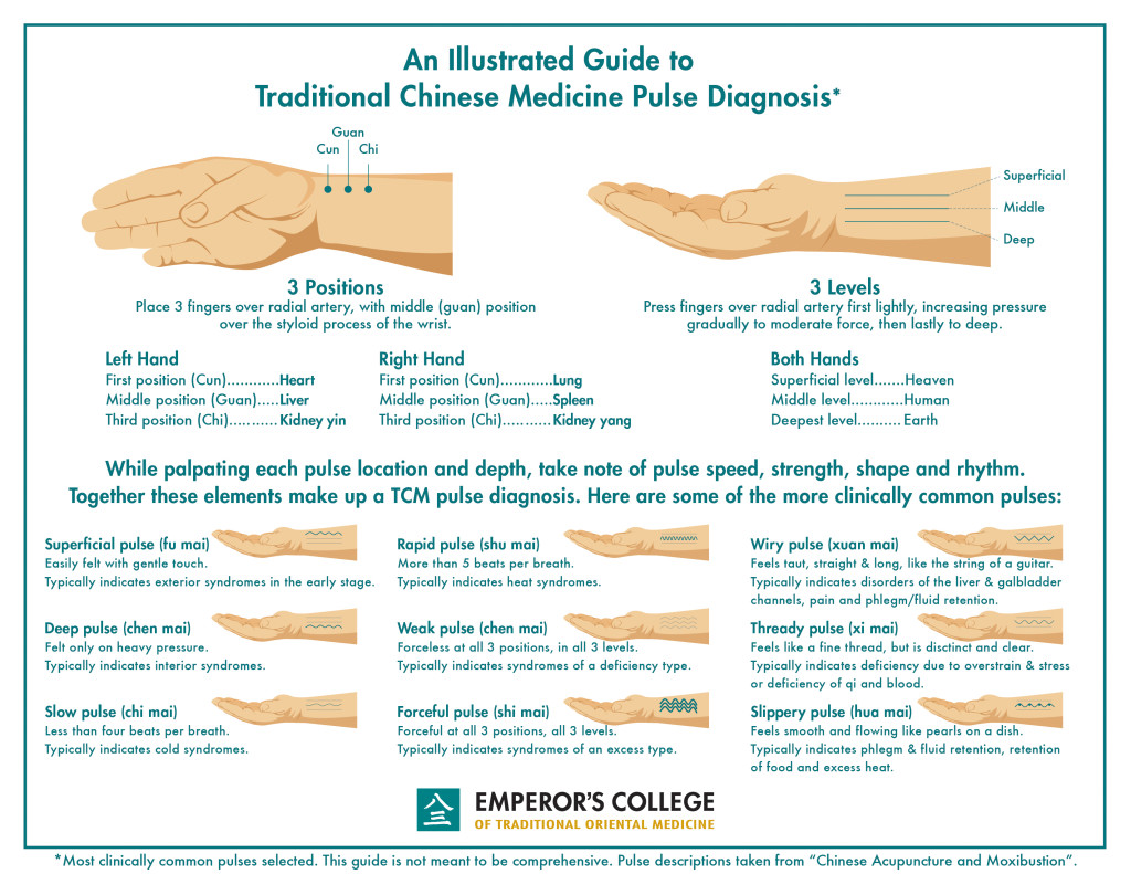 Chinese pulse diagnosis