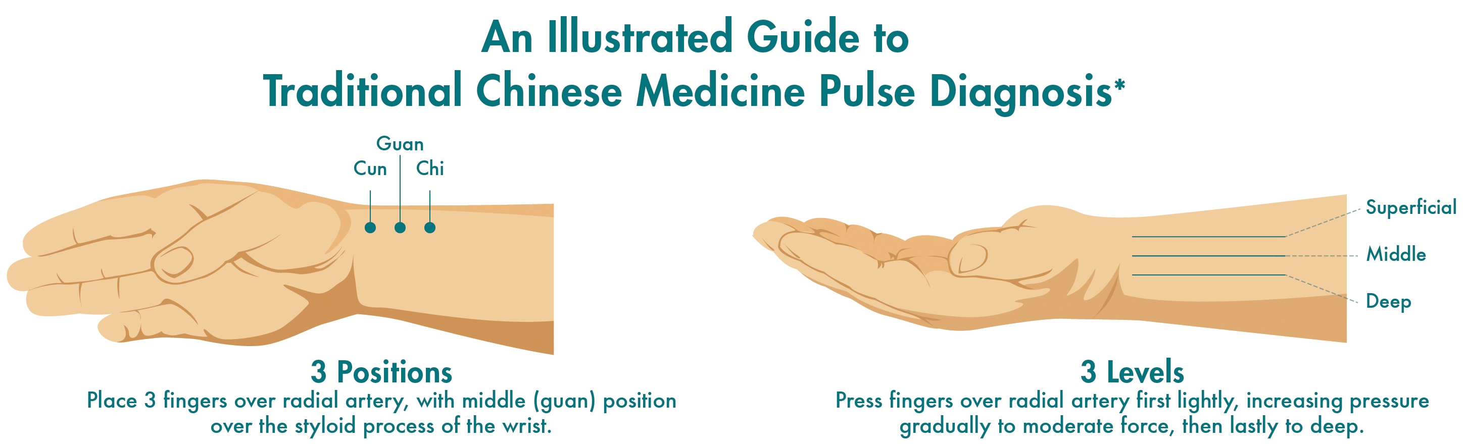 Chinese Pulse Diagnosis Chart